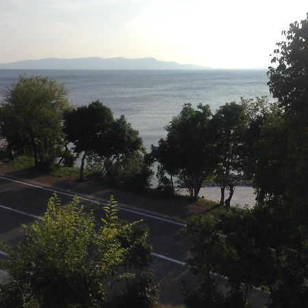 Apartment Marina Senj Senj  Zewnętrze zdjęcie